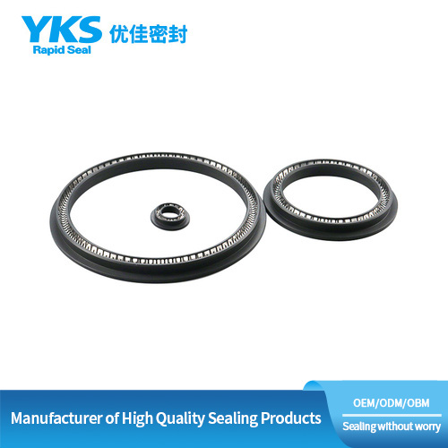 High Temperature Rotary Spring Seal